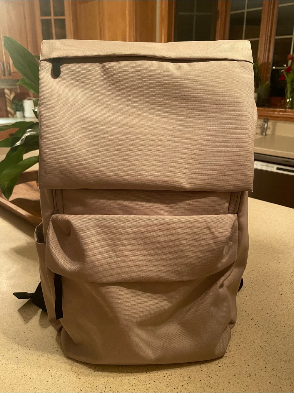 Everlane Beige Backpack with Front Pocket